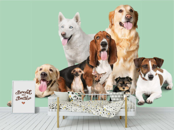 Sweet Group of Dogs Wall Mural